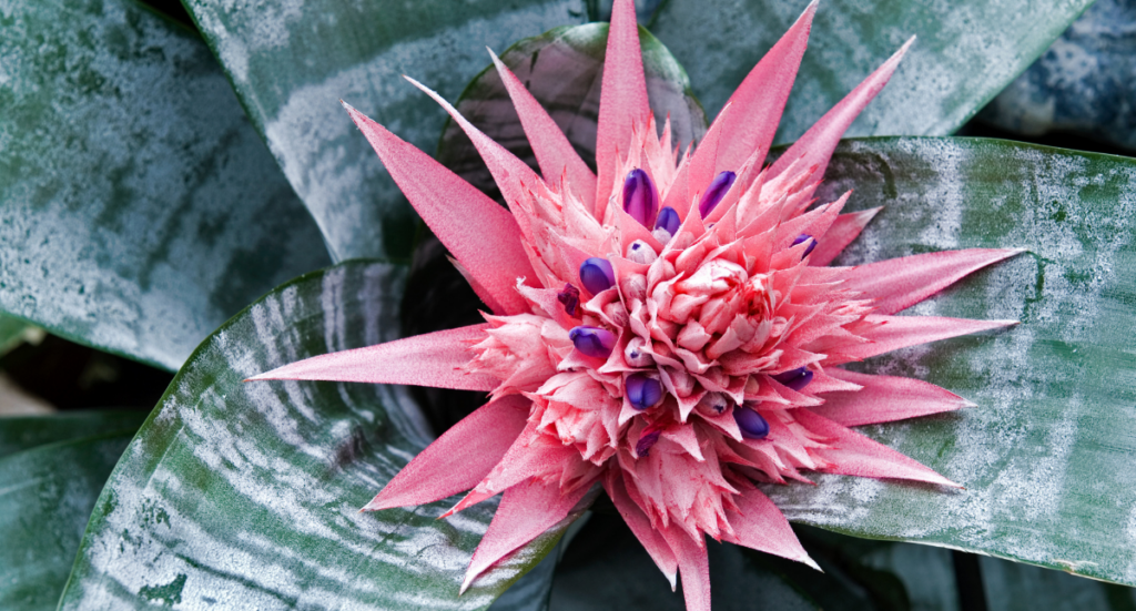 Stay Safe This Winter