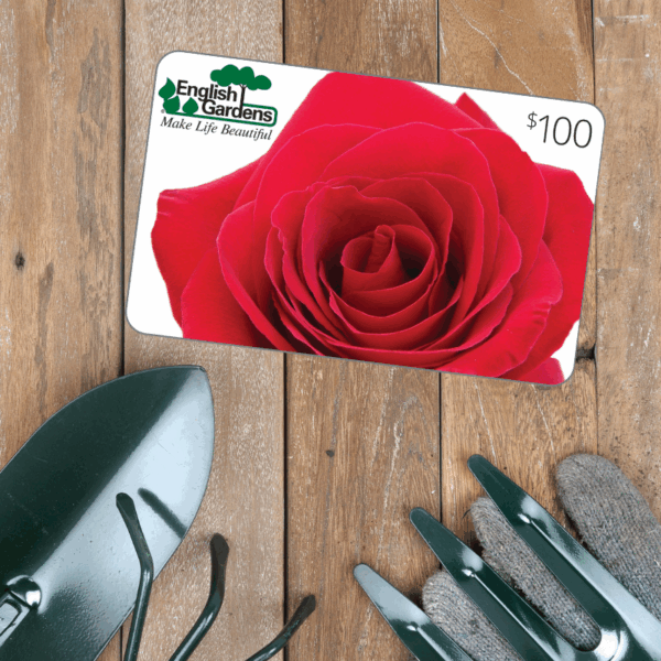 $100 Gift Card Red Rose