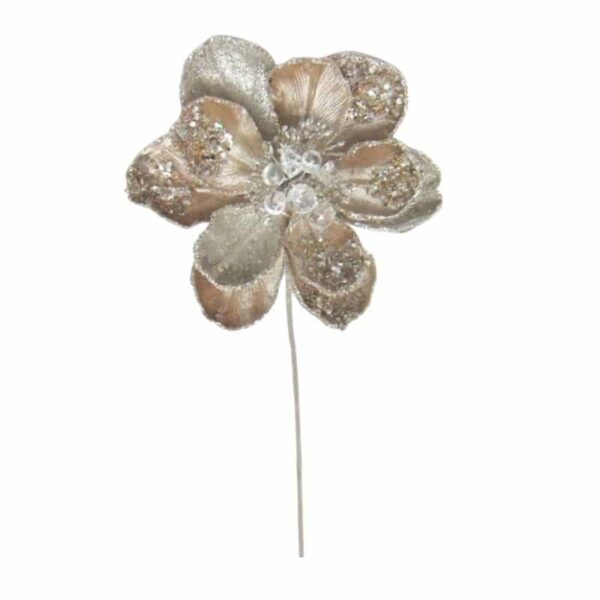 Champagne Magnolia Stem