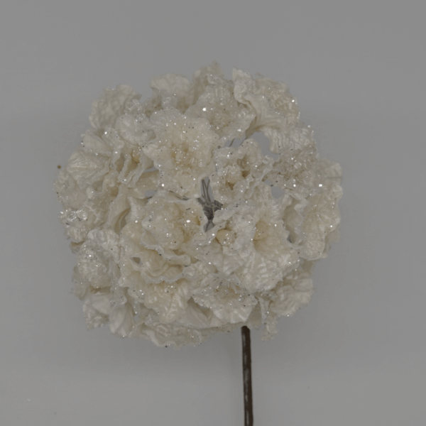 Ivory Glitter Hydrangea