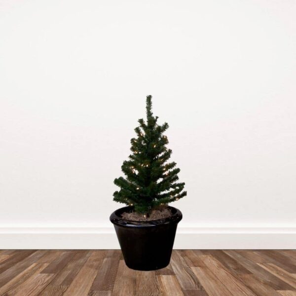 Aspen Fir Walkway Stake Pre-lit Artificial Christmas Trees