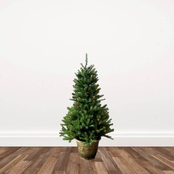 4-ft. Potted Fir Entrance Pre-lit Artificial Christmas Trees - Multi