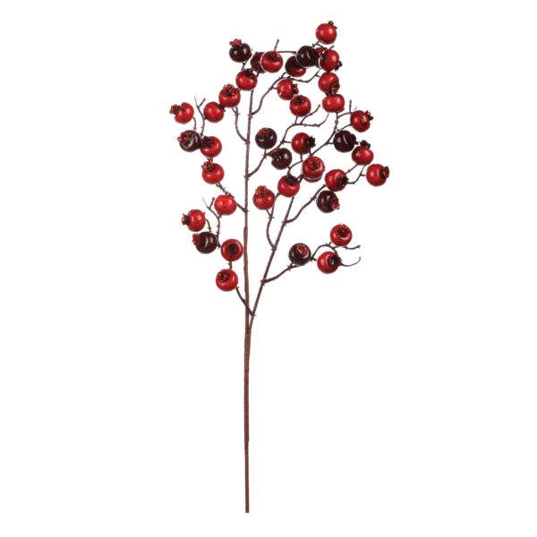 Crabapple Waterberry Branch