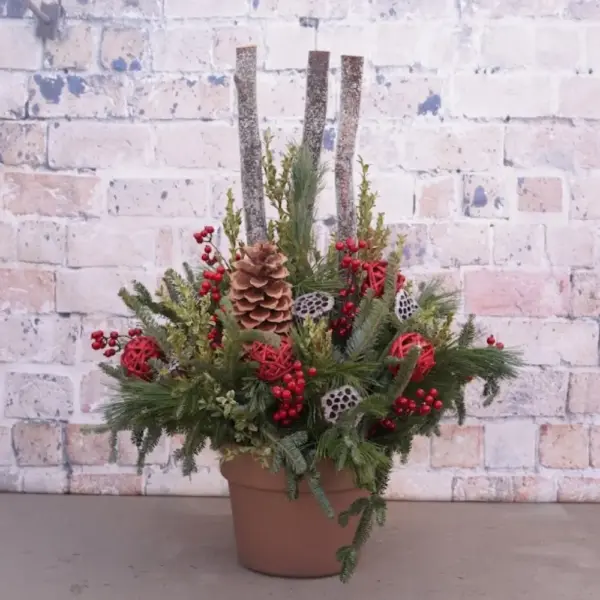 First Snow Evergreen Container Garden