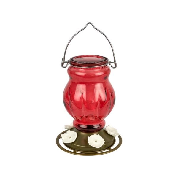 Hummingbird Feeder Visions