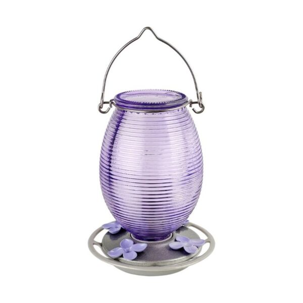 Hummingbird Feeder Dreams