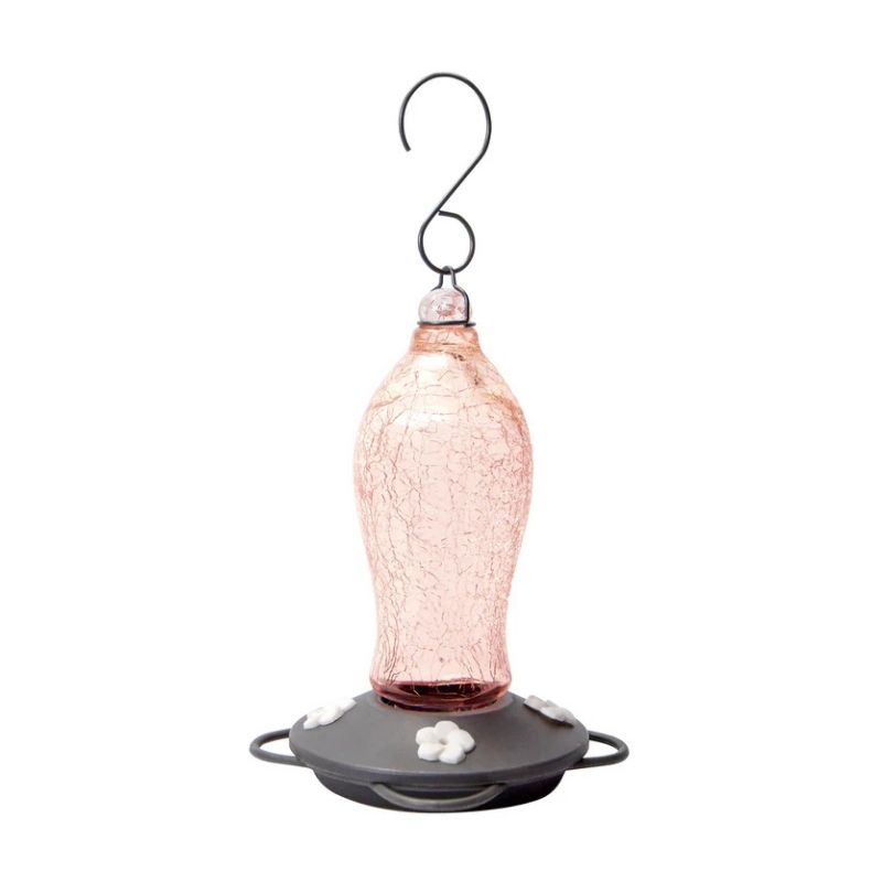 Hummingbird Feeder Crackle