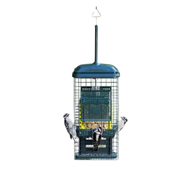 Suet Feeder Squirrel Buster