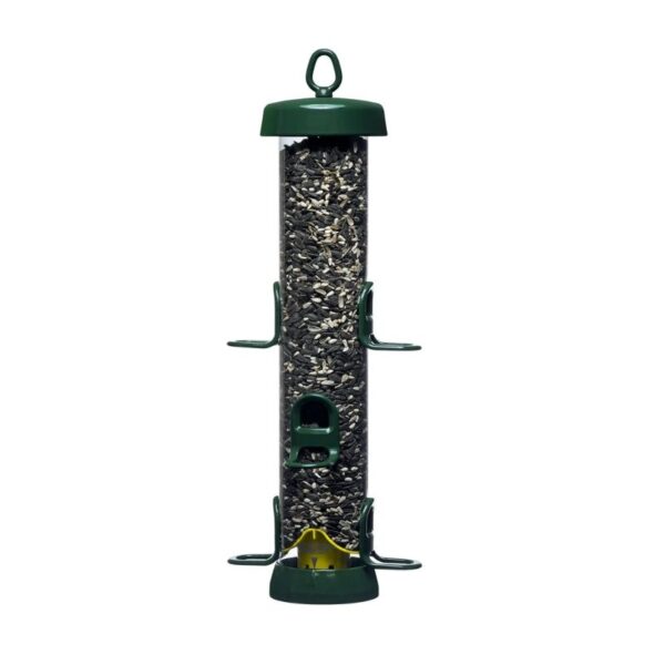 Bird Feeder Squirrel Solution 200