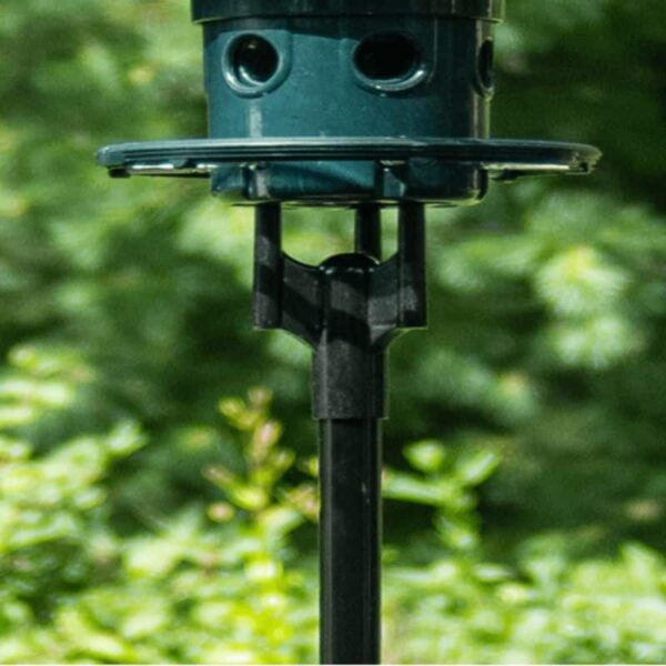 Squirrel Buster Plus Pole