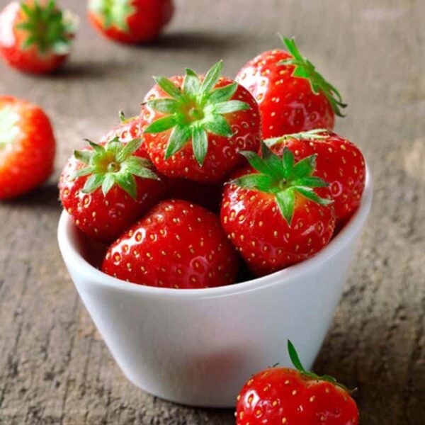 Chef Jeff "Berries Galore" Everbearing Strawberry