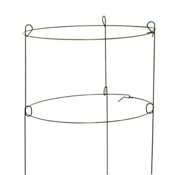 18 inch Double Peony Ring