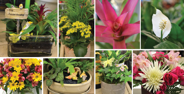 6 Gift Ideas to Say Thanks