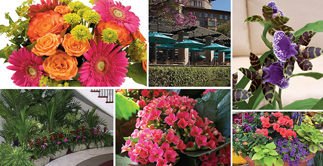 Meet Bob Walker, our Business to Business Manager