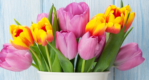 Gifts to Say Thank you