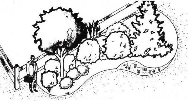 DIY Landscaping: Winter Interest