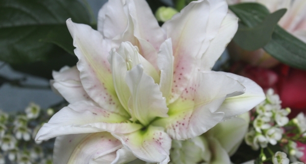 Love is in the Air! Valentine’s Day Gift Ideas