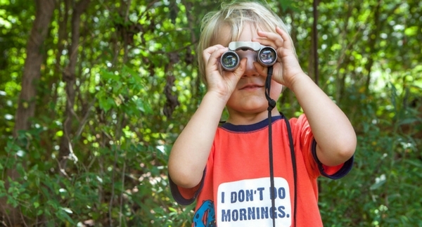 Top 5 Products to Get Kids Interested in Birding