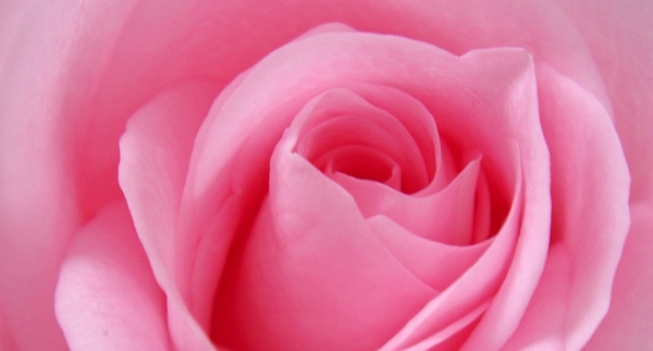 Breast Cancer Awareness Month Roundup Program