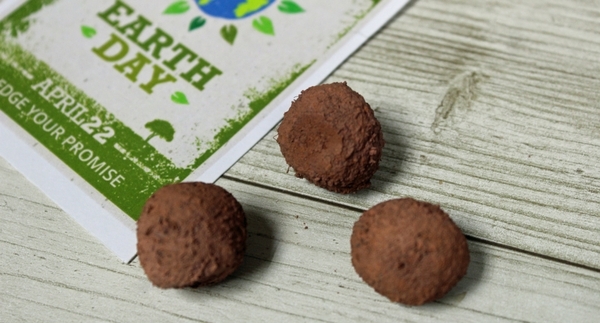 Celebrate Earth Day with English Gardens