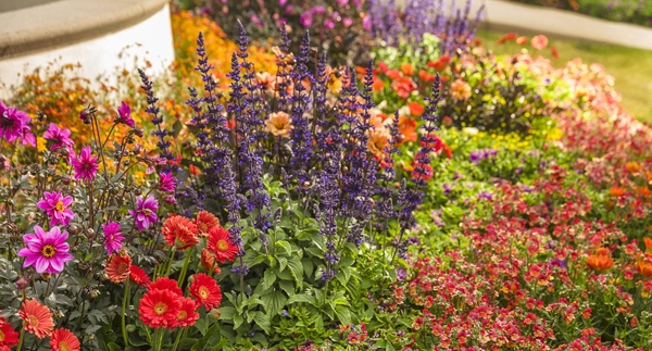 Product Spotlight: Annual Color Displays