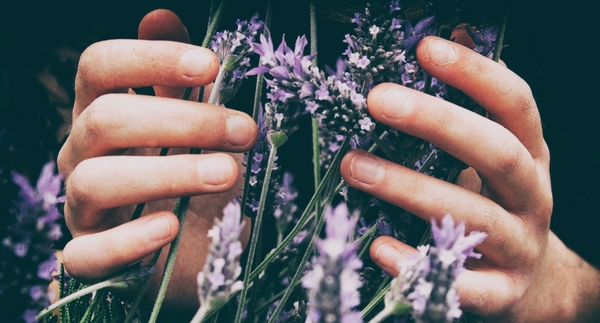 Creating a Sensory Garden