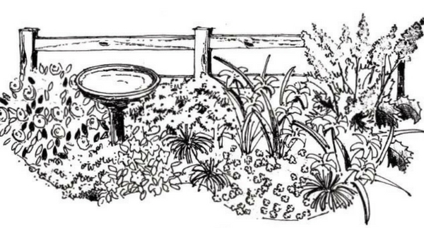 DIY Landscaping: Curved Border Perennial Garden