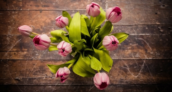 National Wife Appreciation Day