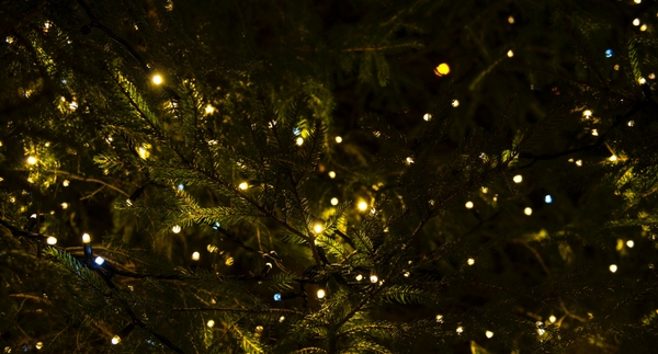 Christmas Lighting Tips