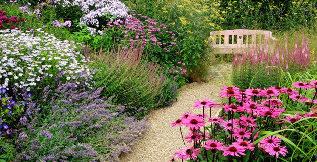 Six Tips to a No-work Cottage Garden