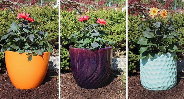 HARDSCAPE SPOTLIGHT:  Decorative Containers