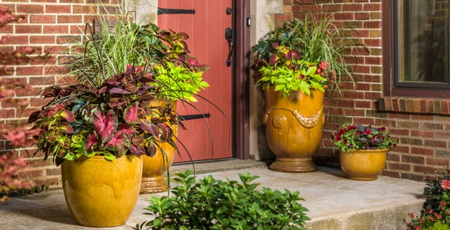 Fall Front Door Décor