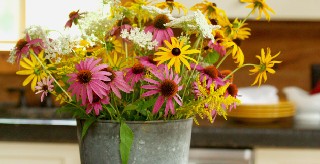 Fresh-cut Flowers from Your Garden