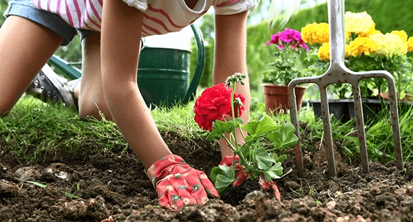 It’s Time to Plant