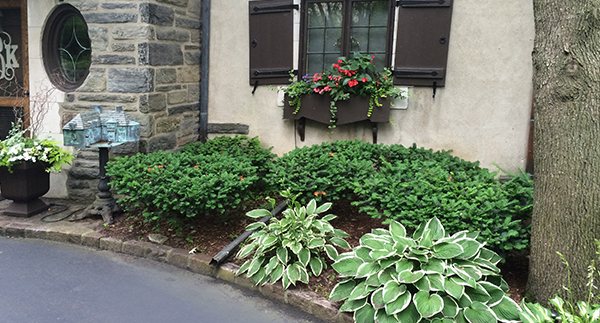 PROJECT SPOTLIGHT:  Baird Residence