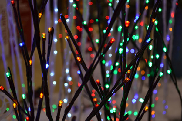 Holiday Cheer Workshops