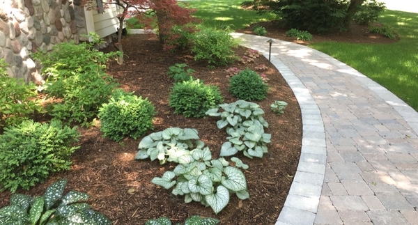 Project Spotlight: Chaika