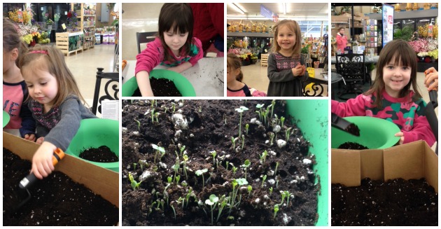 “Lett-uce” Plant Some Seeds