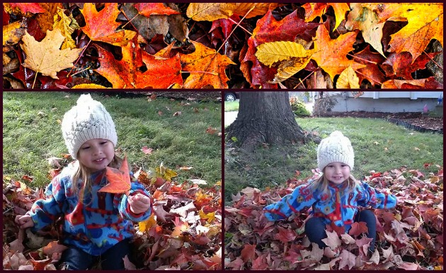 Happy Fall, Ya’ll From Little Miss