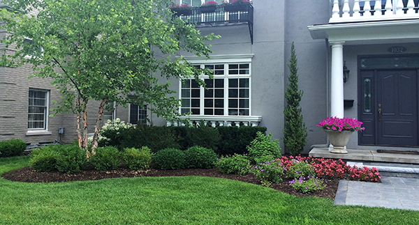 PROJECT SPOTLIGHT: Lupo