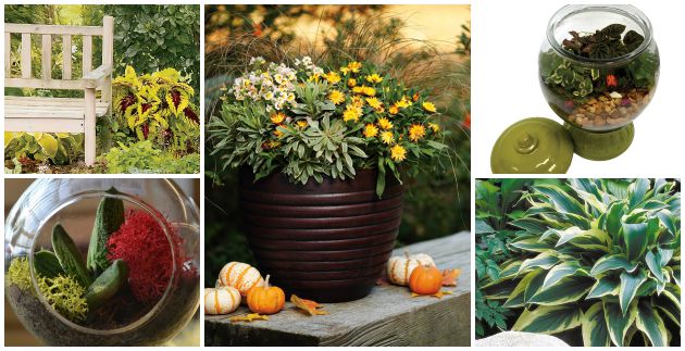 Garden Fun in October