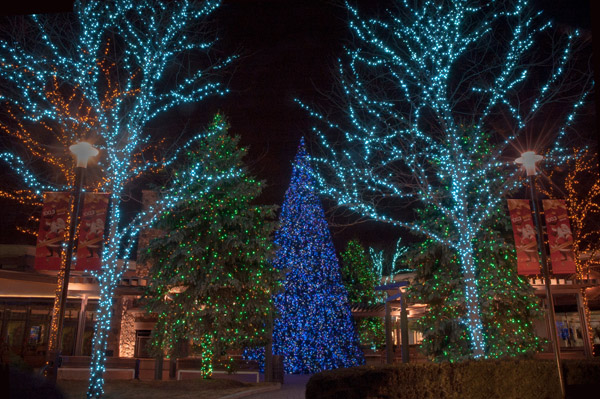 Project Spotlight: The Mall at Partridge Creek