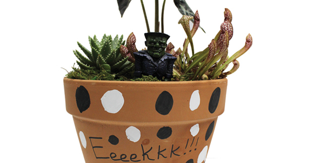 Halloween Fun for the Kids