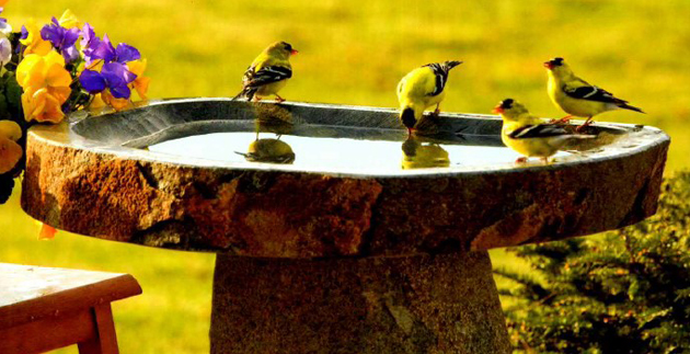 Product Spotlight: Garden Statues & Stone Products