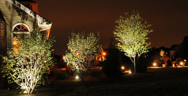 Product Spotlight: Landscape Lighting