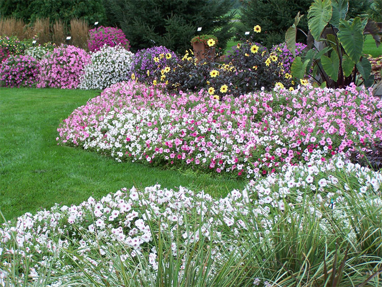 Put Your Garden to Bed