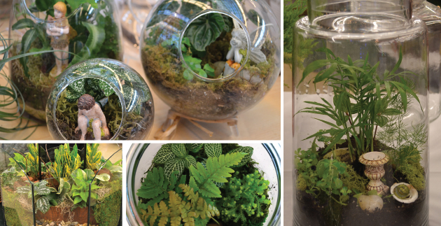 Terrariums: A Perfect Winter Project