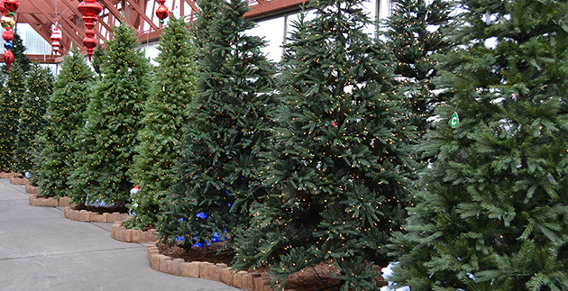 4 Steps to Store Your Life-Like Tree