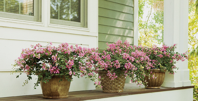 Tools to Make Summer Gardening Easier