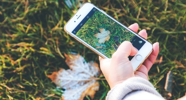 Photographing Plants